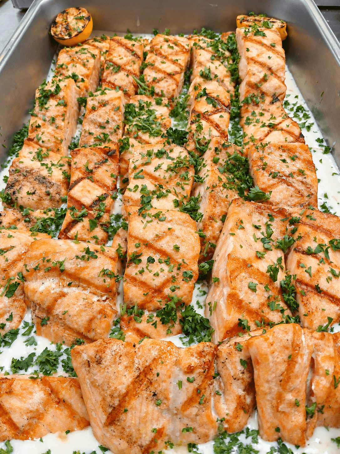 Grilled salmon arranged in a catering tray and finished with herbs